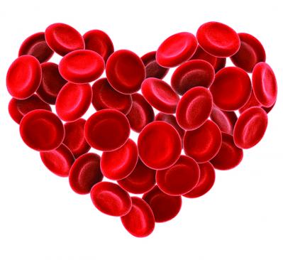 heart of red blood cells
