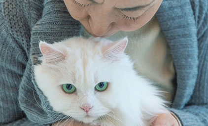 older person holding a white cat