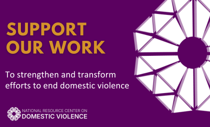 Support Our Work to strengthen and transform efforts to end domestic violence