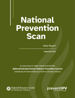 National Prevention Scan Data Report by Casey Keene and Colleen Yeakle, on behalf of the National Intimate Partner Violence Prevention Council