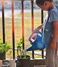 child watering a plant