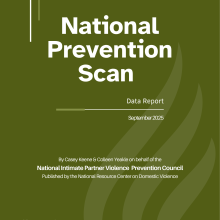 National Prevention Scan Data Report by Casey Keene and Colleen Yeakle, on behalf of the National Intimate Partner Violence Prevention Council
