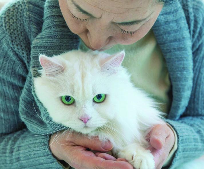 older person petting a cat