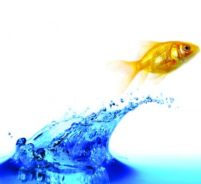 goldfish jumping out of water