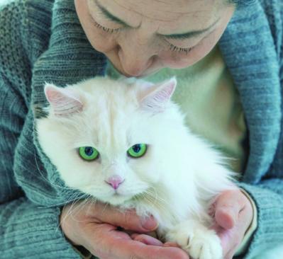 older person petting a cat